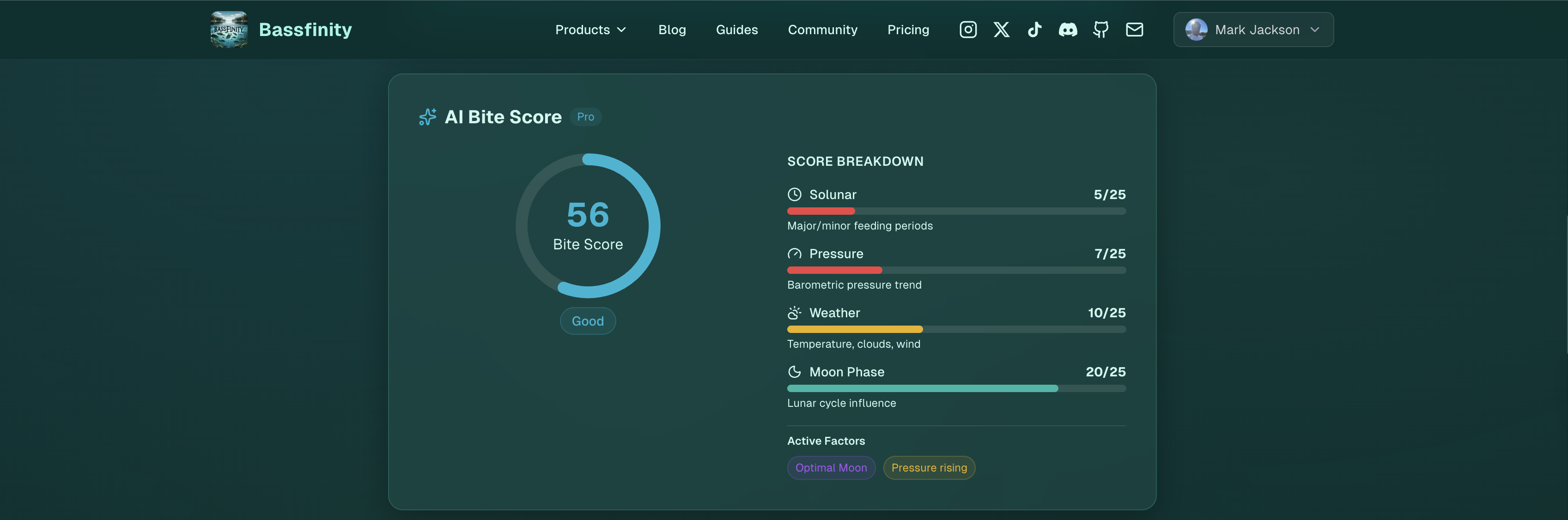 Bassfinity gallery image