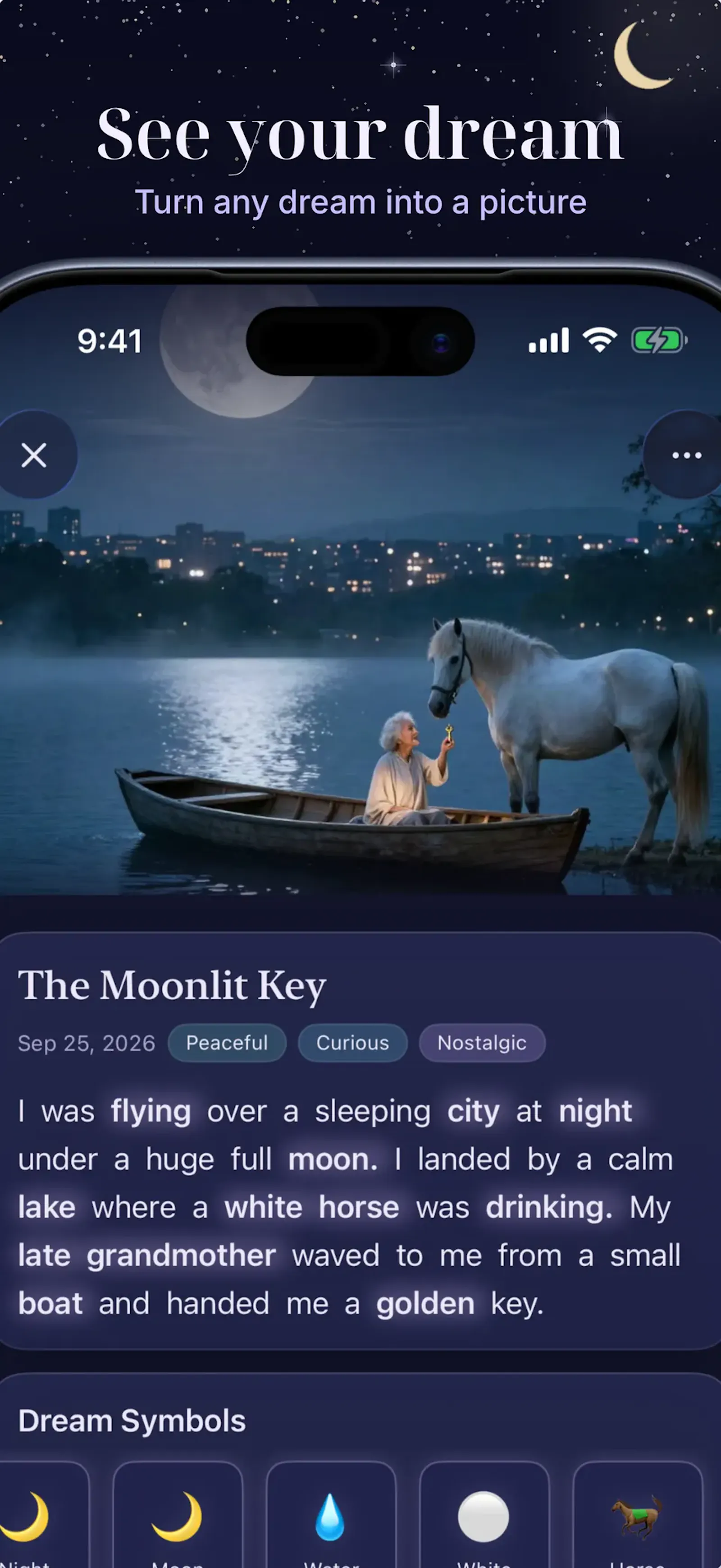 Luna Dream screenshot 3