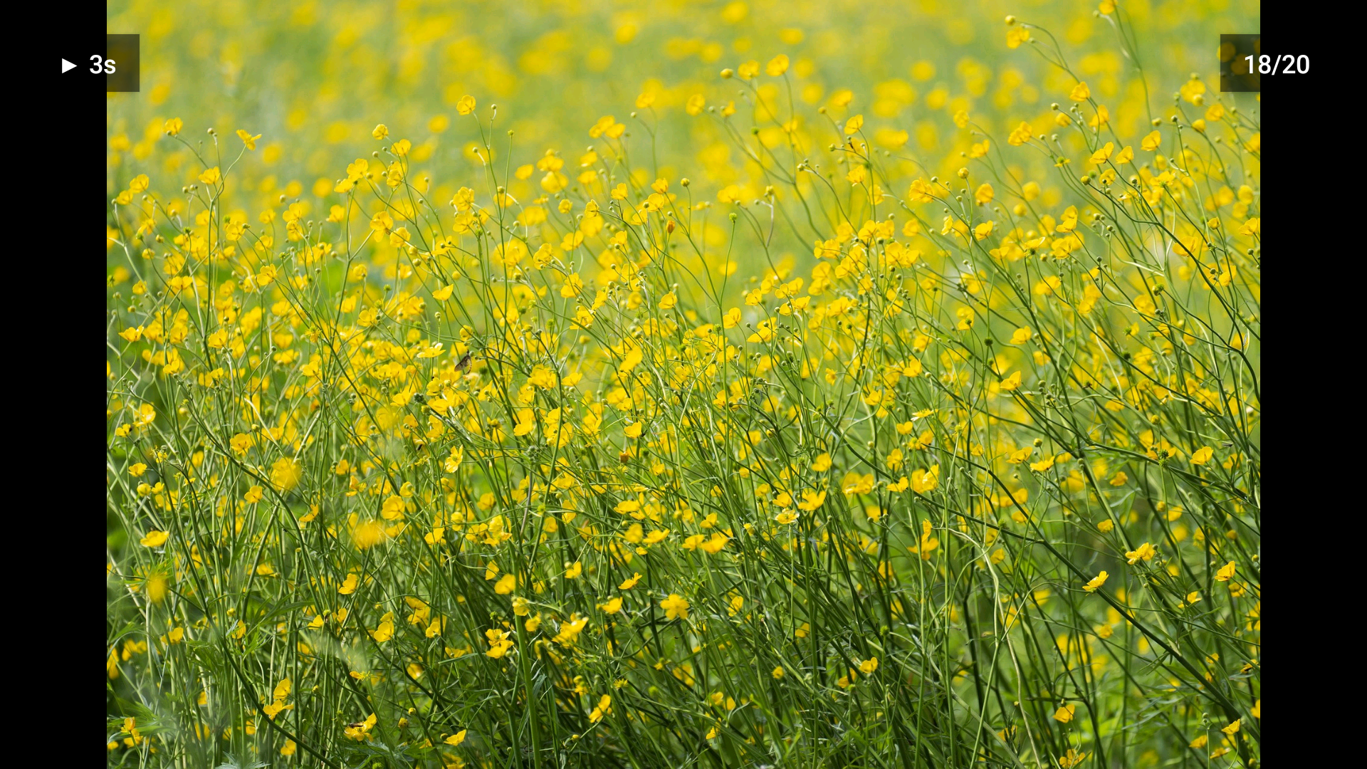 USB Gallery gallery image