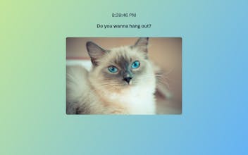 Nathan for You Quotes and Cats gallery image