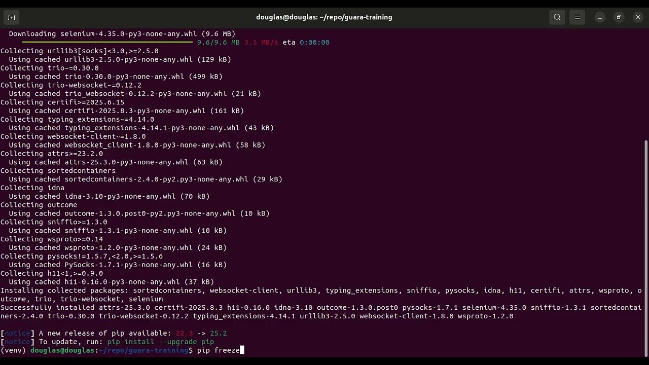 Welcome to Guará Python framework gallery image