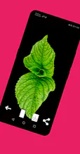 Latto : Wallpapers , 4k Amoled gallery image