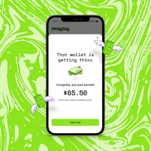 Swaypay gallery image