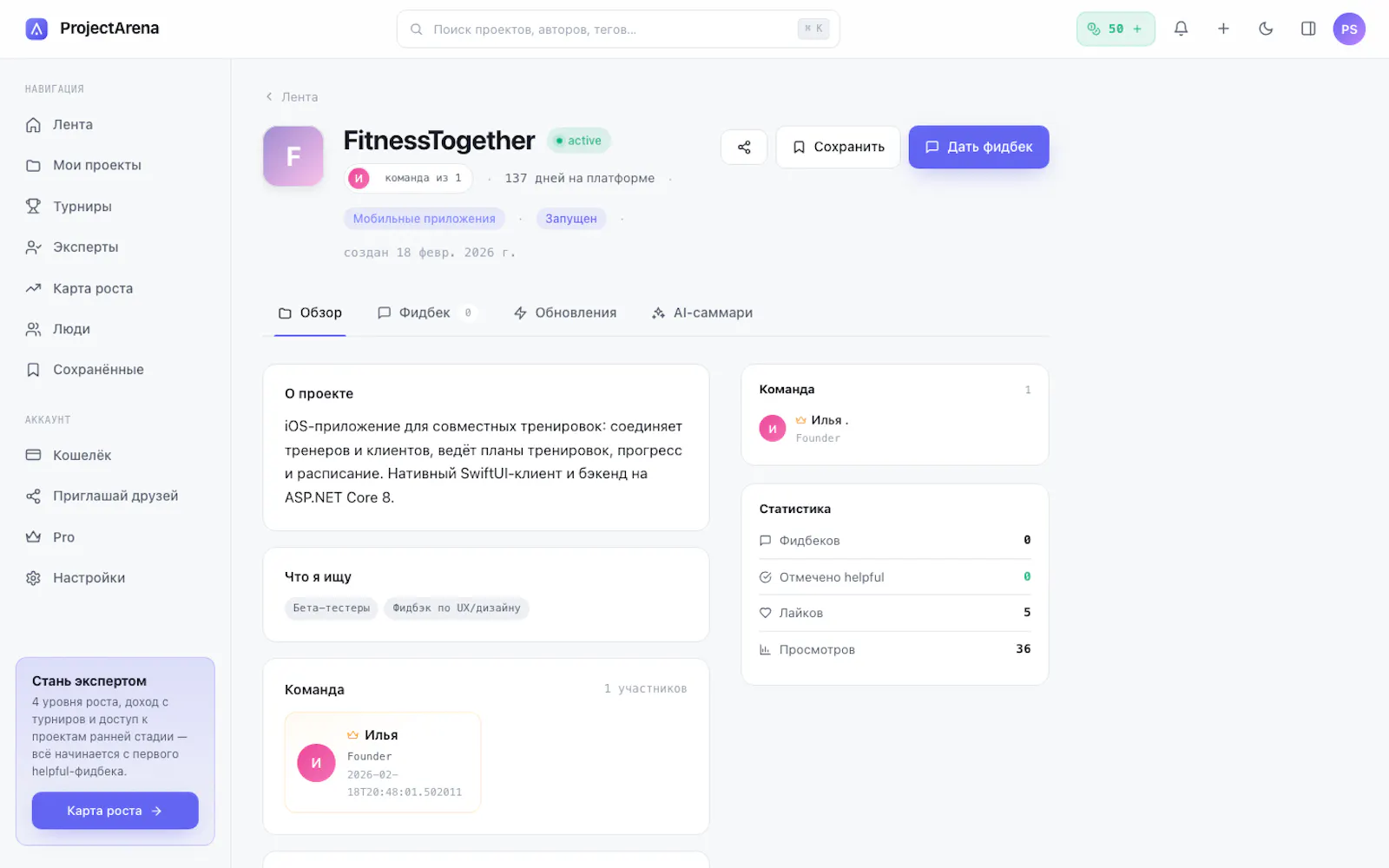 ProjectArena screenshot 3