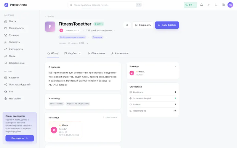 ProjectArena screenshot 3