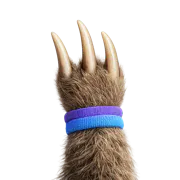 Pawvis