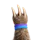 Pawvis