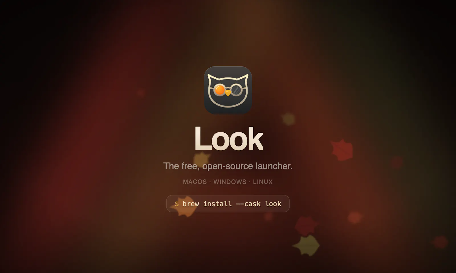 Look Launcher screenshot 8