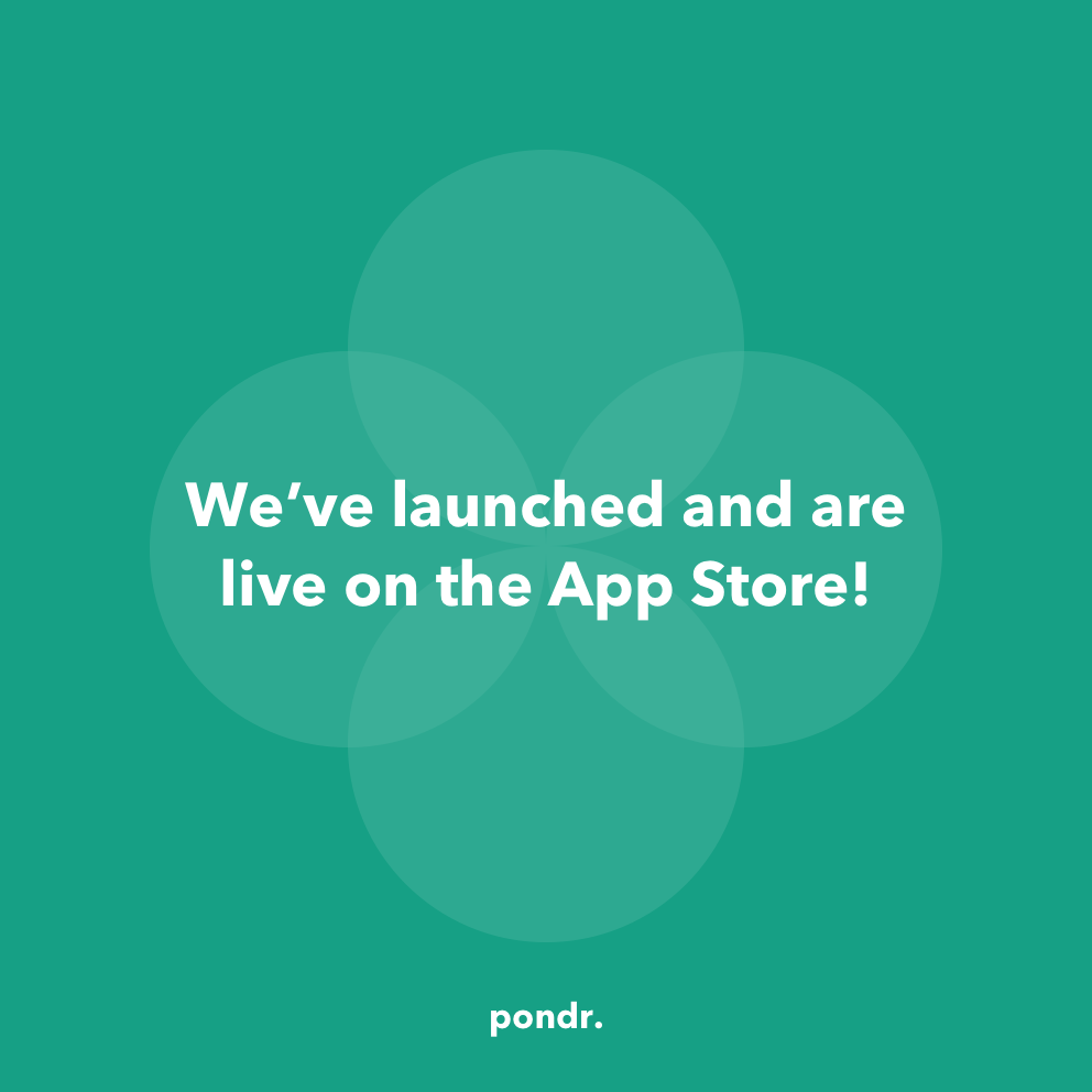 pondr. gallery image