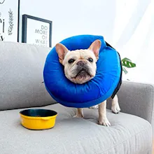 Bubble Collar gallery image