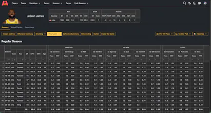 Basketball Excel gallery image
