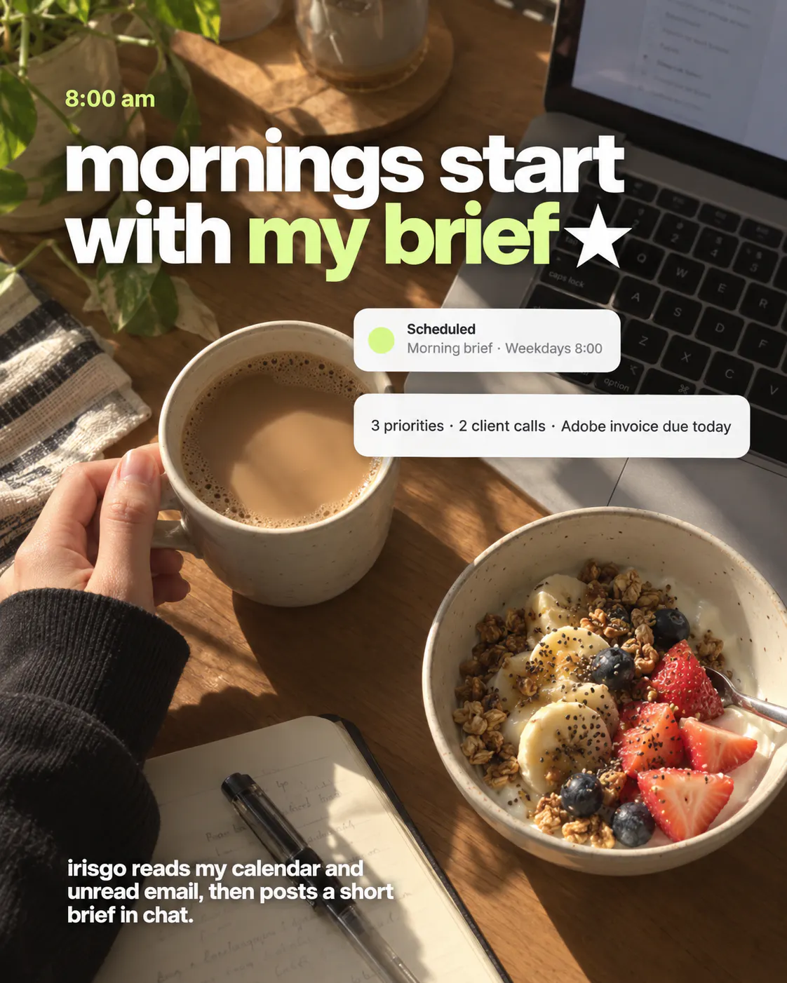 IrisGo for Solopreneurs gallery image