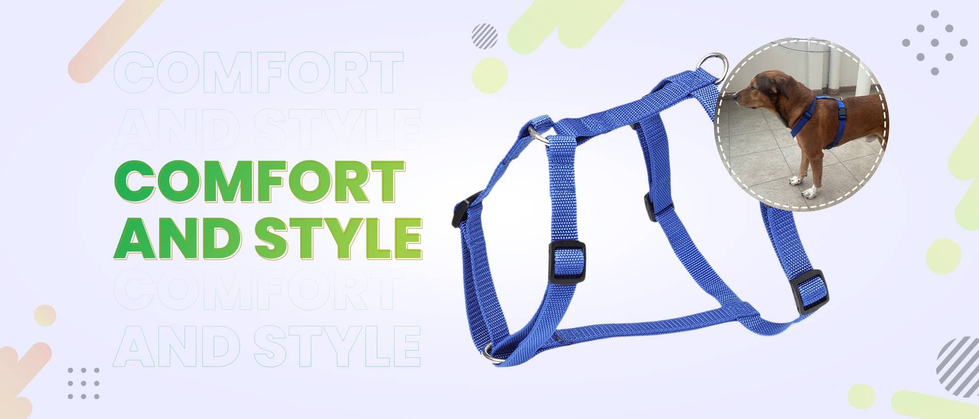 Best Dog Accessories available in India gallery image