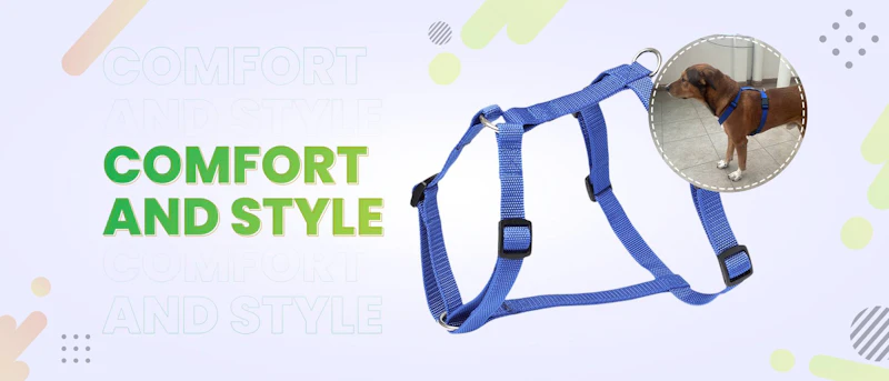 Best Dog Accessories available in India screenshot 2