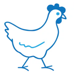 Rooster