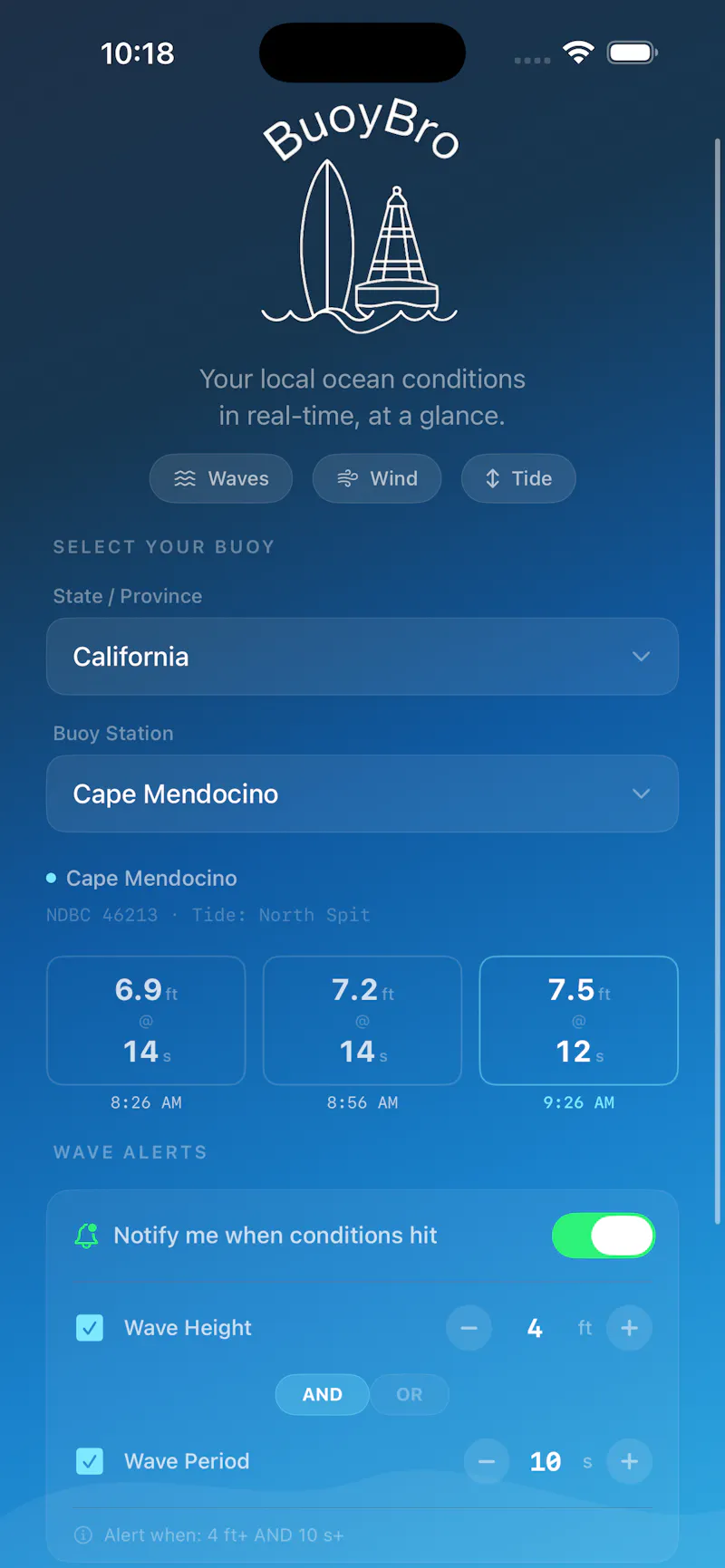 Buoy Bro  screenshot 3