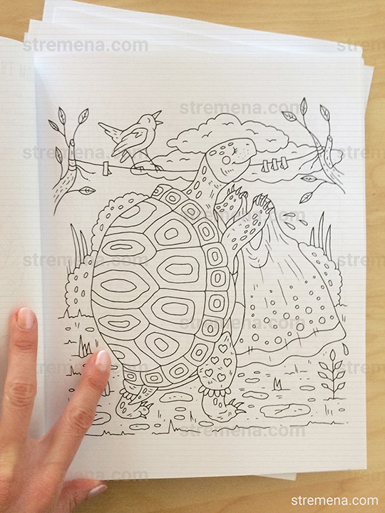 The Secret Life of Forest Animals gallery image