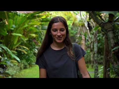 Midstay gallery image