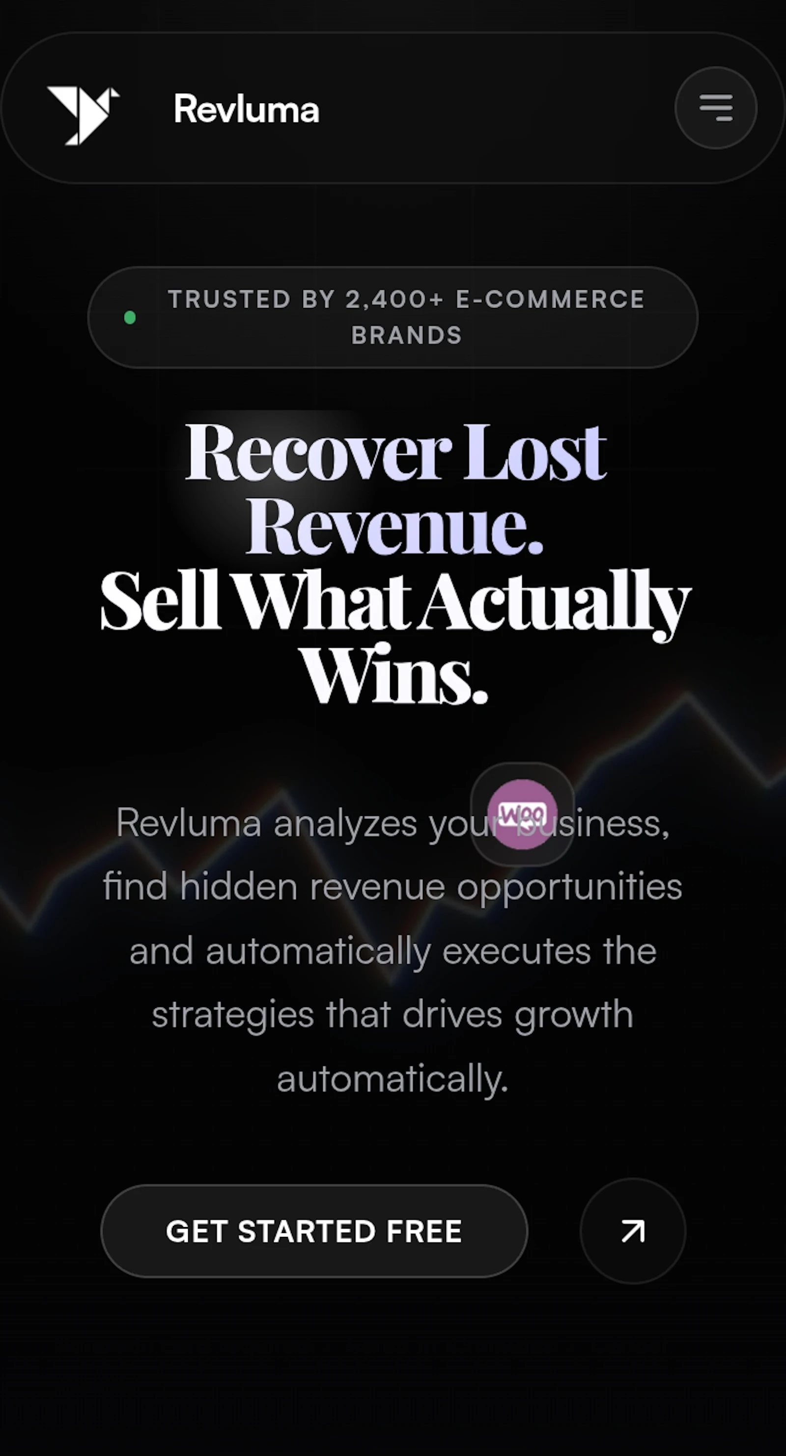 Revluma screenshot 2