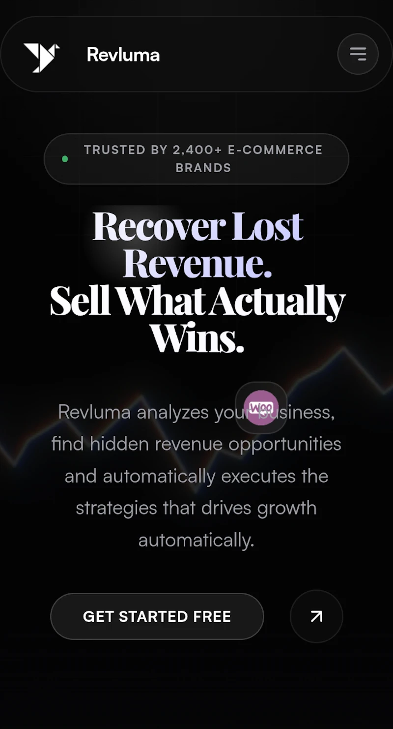 Revluma screenshot 2