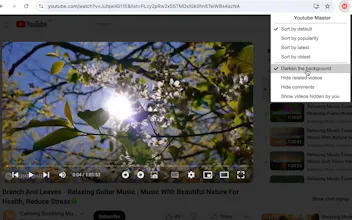 Youtube Master gallery image