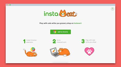 Instacat gallery image