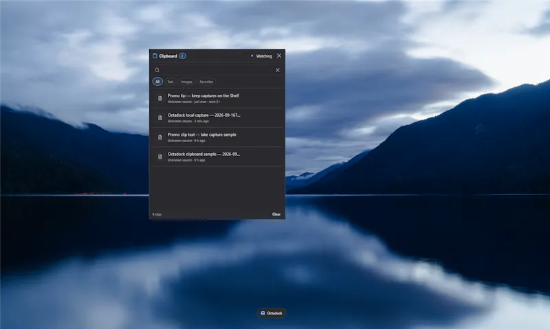 Octadock screenshot 4