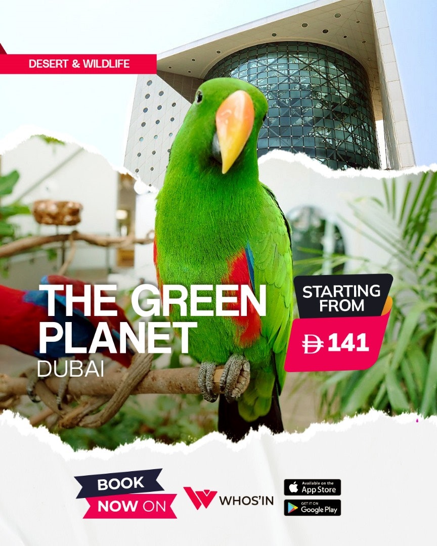 Onelink.to gallery image