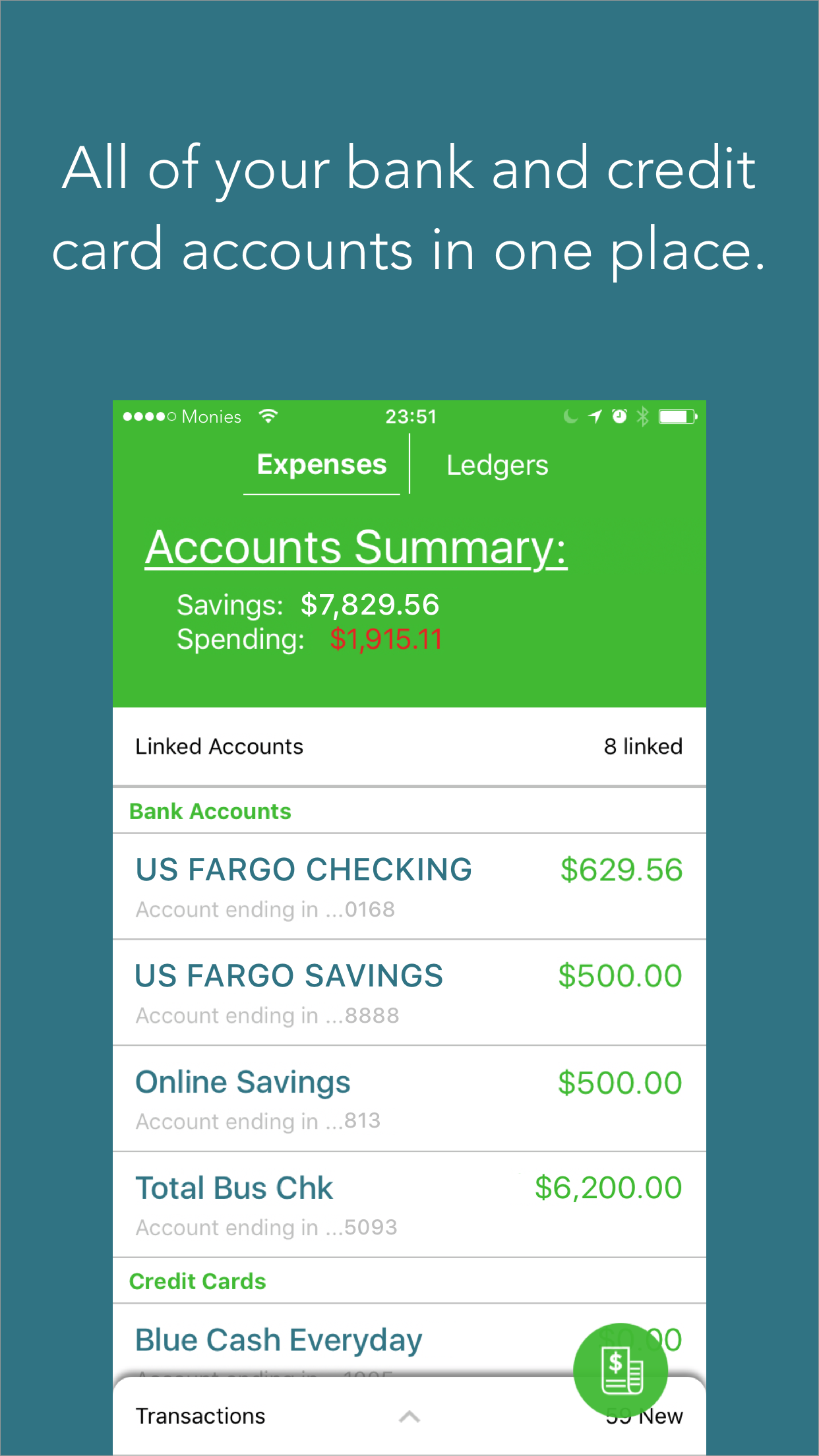 Ledger gallery image