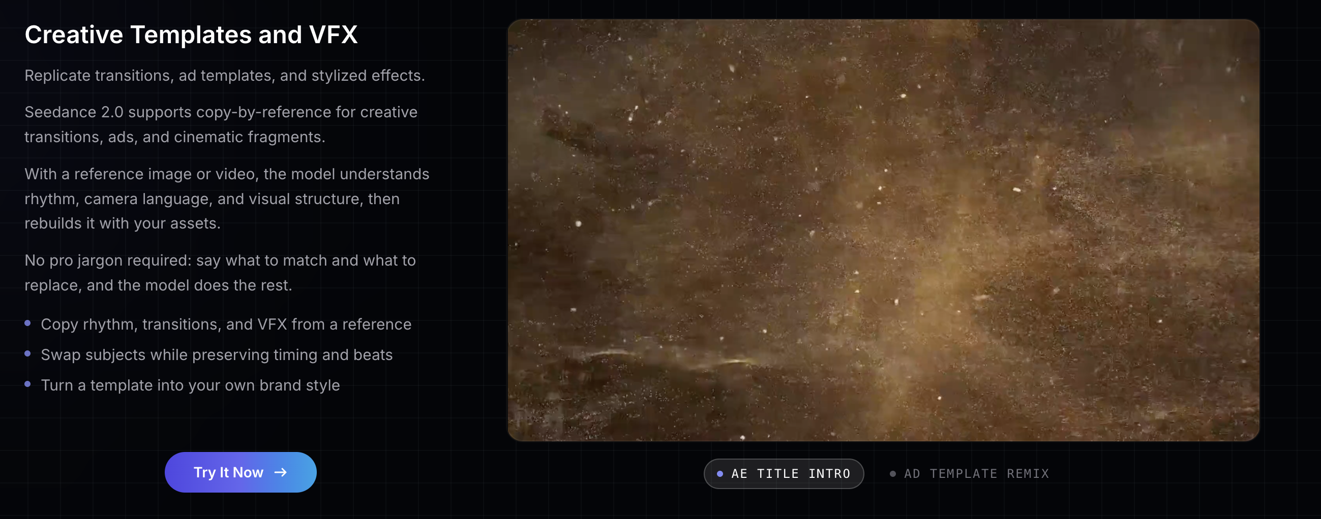 Seedance 2.0 Video Generator gallery image