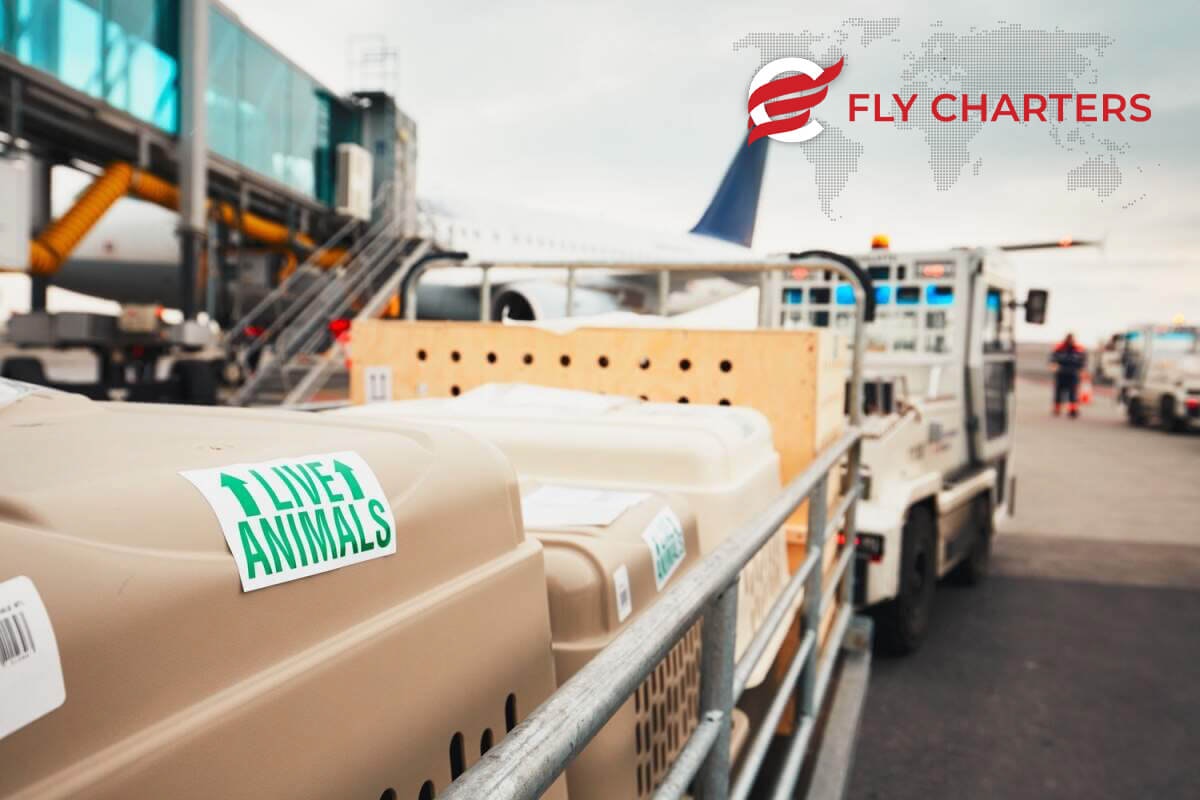 Fly Charters gallery image