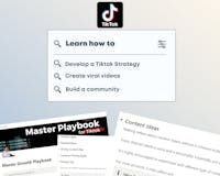 Master Playbook for Tiktok media 1