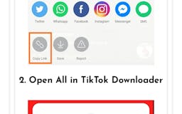 TikTok Downloader without watermark media 2