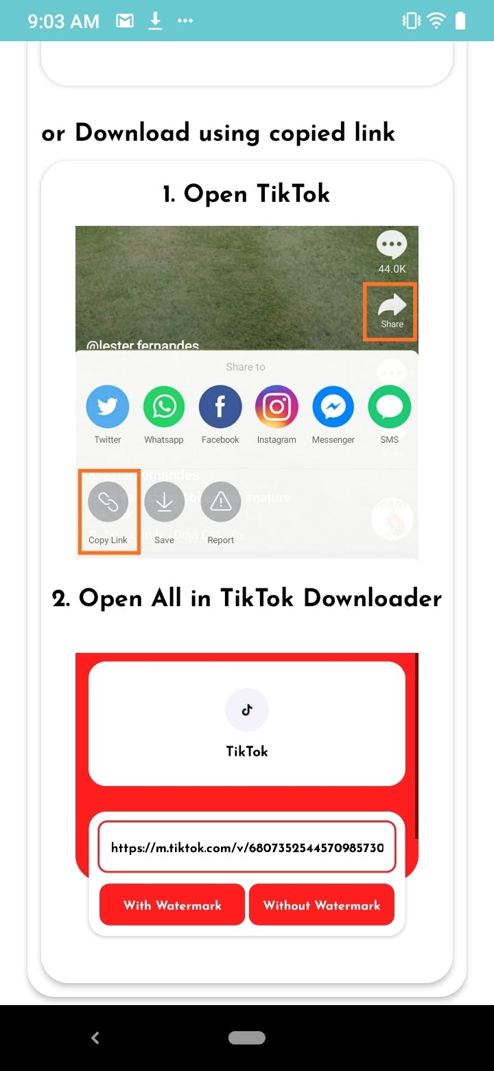 TikTok Downloader without watermark media 2
