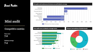 Brand Auditor gallery image