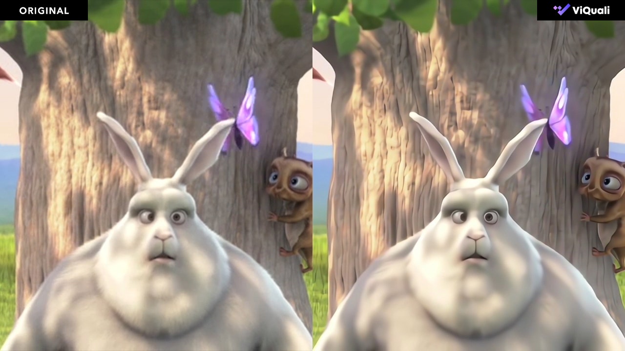 ViQuali Video Enhancer gallery image