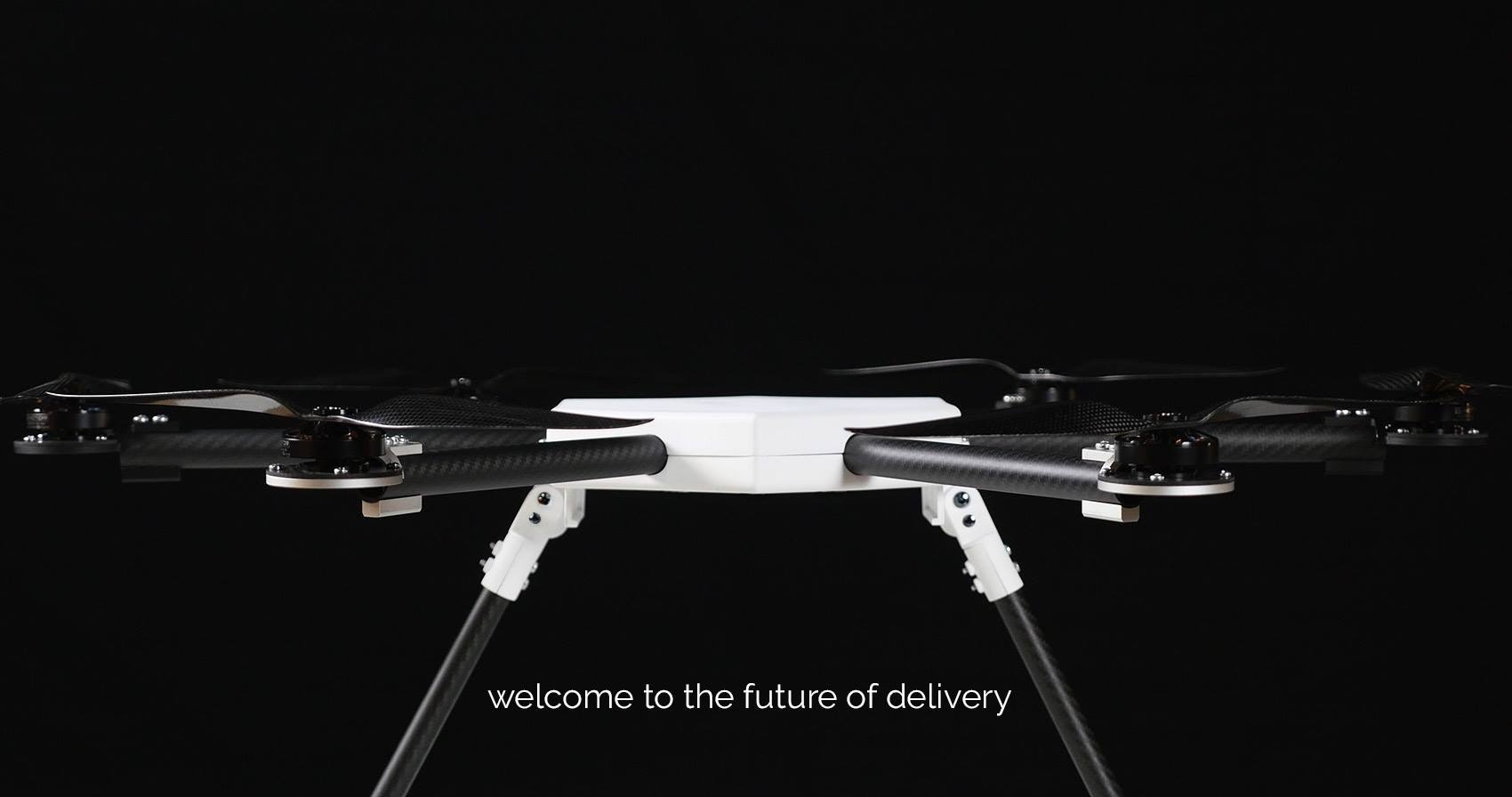 Pegasus gallery image