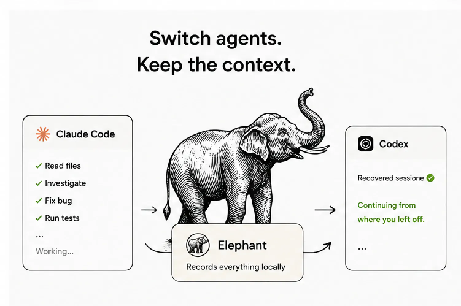 Elephant gallery image