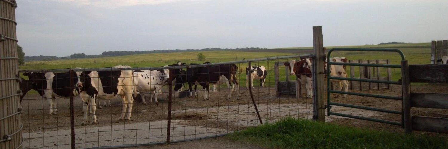Ángel Javier Esquivel Robles cover