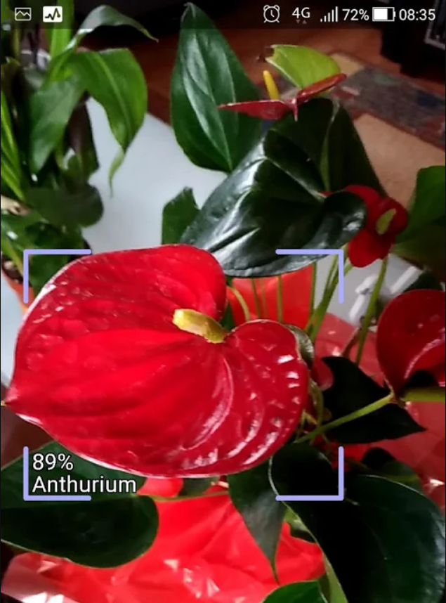 Florist 💐 gallery image