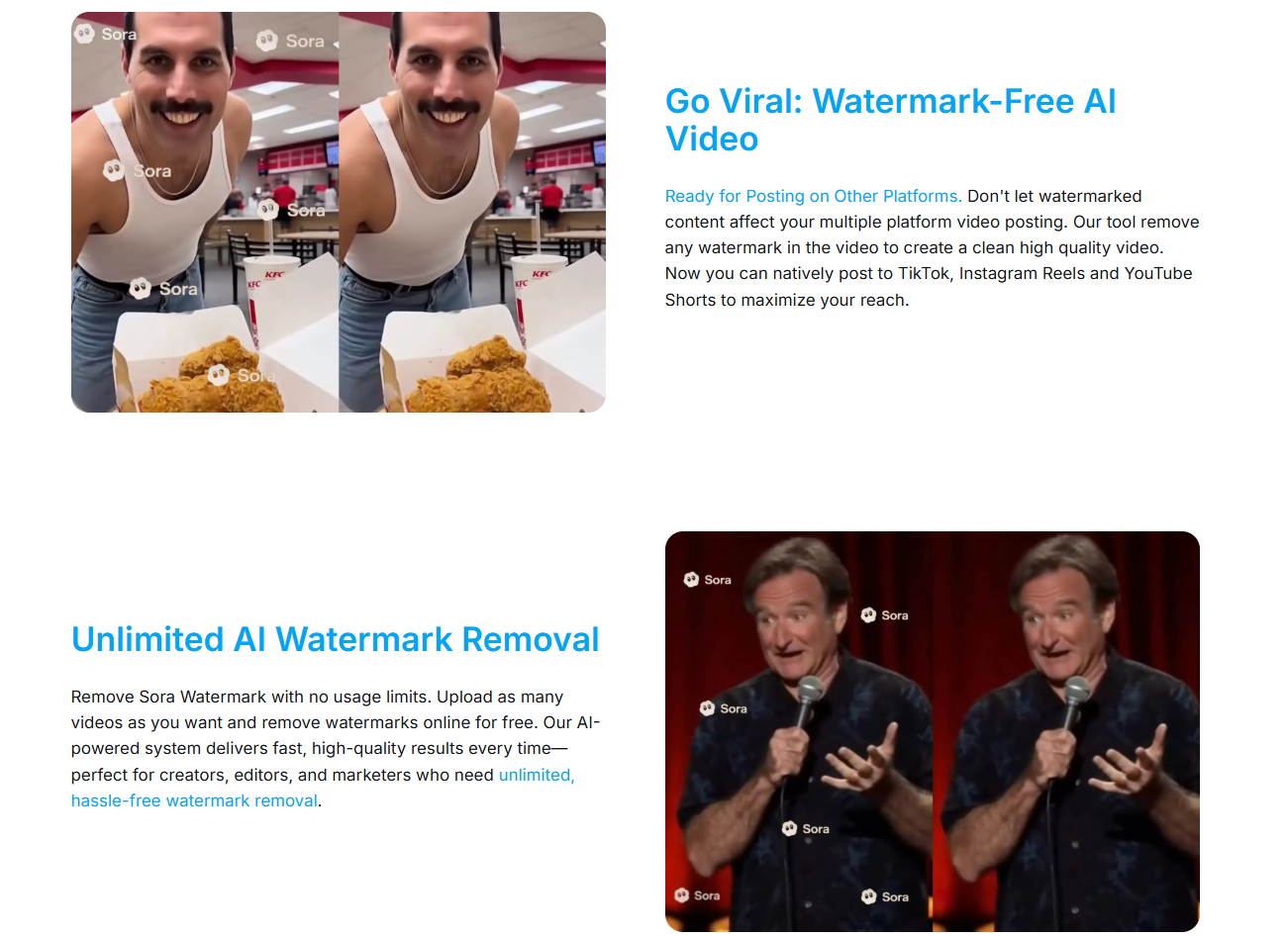 Sora Watermark Remover gallery image