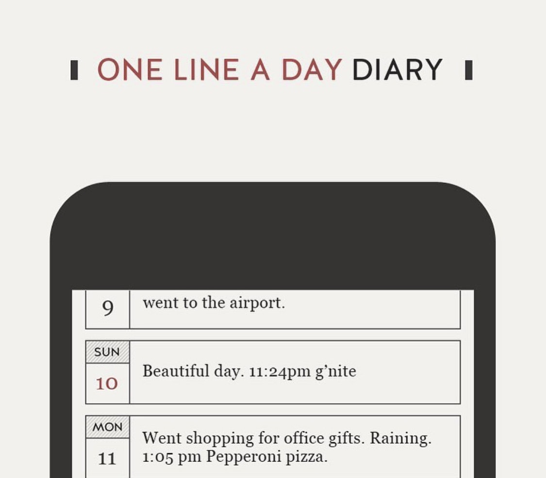DayGram - Time Stamp Journal - Minimales Journal/E-Ink-Stil einfaches Tagebuch mit Passwort Medien 2