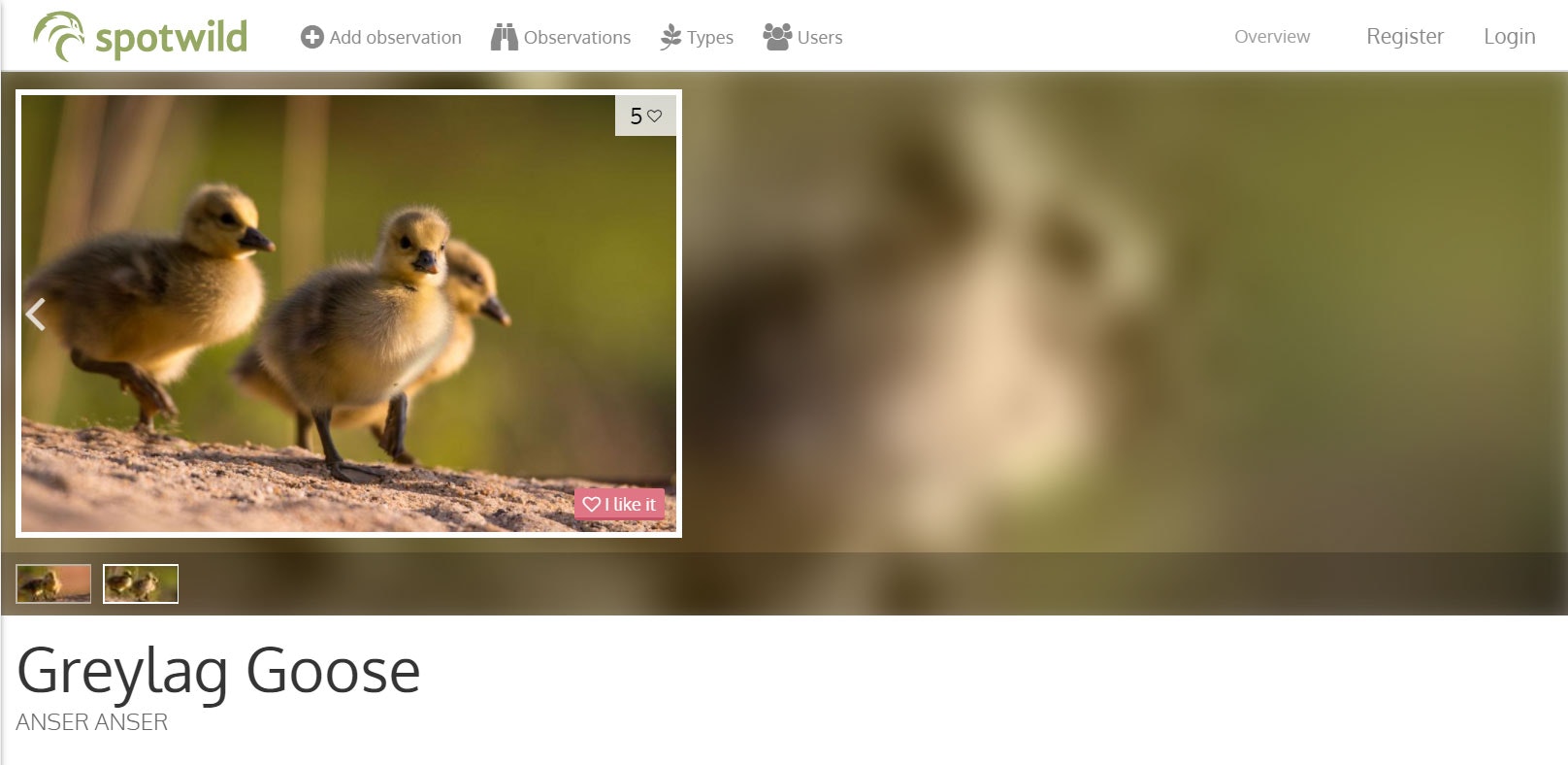Spotwild.org - Help to protect our nature gallery image
