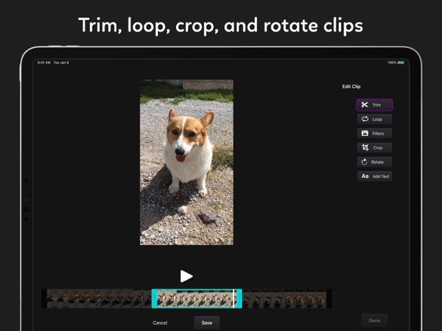 Snapthread gallery image