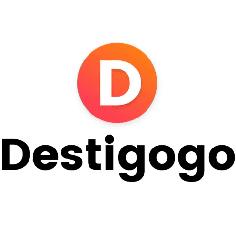 DESTIGOGO 2.0 logo