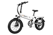 Jasion Folding Electric Bike Model EB7