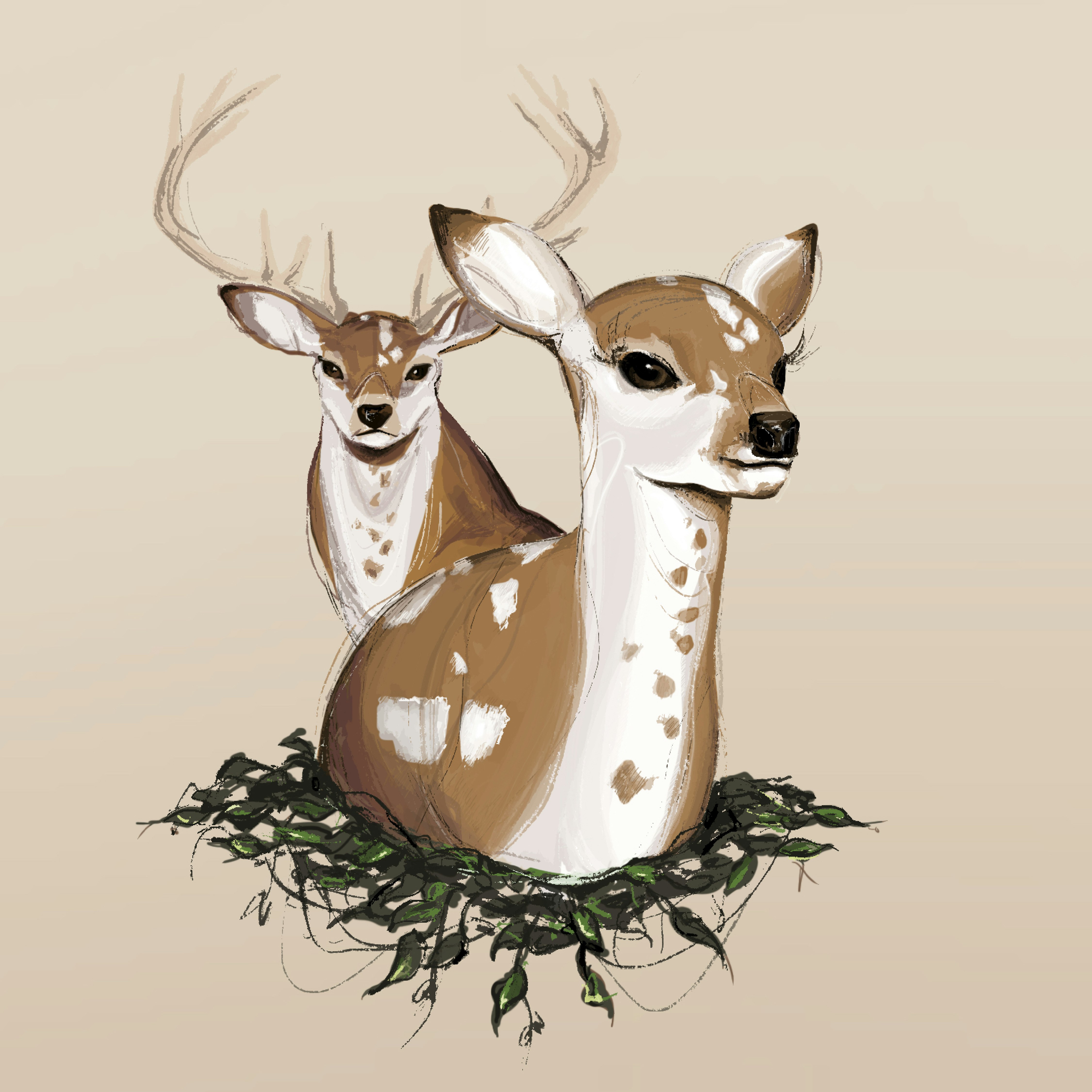 Deer Journey