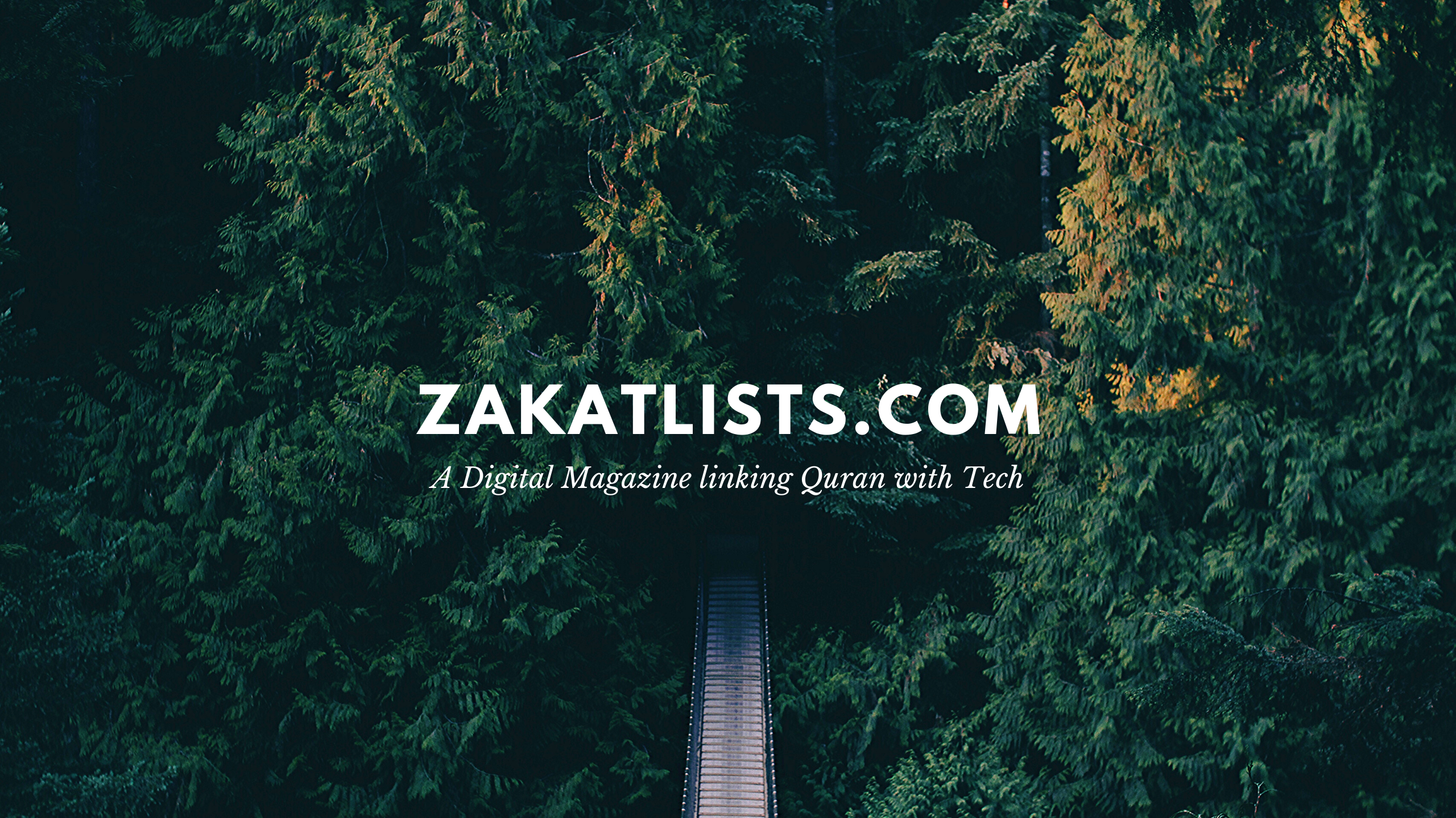 Zakat Lists gallery image