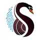 Indigenous Jobs & Volunteering