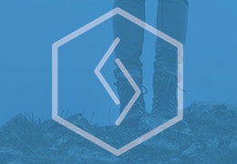 The Freelancer's Guide